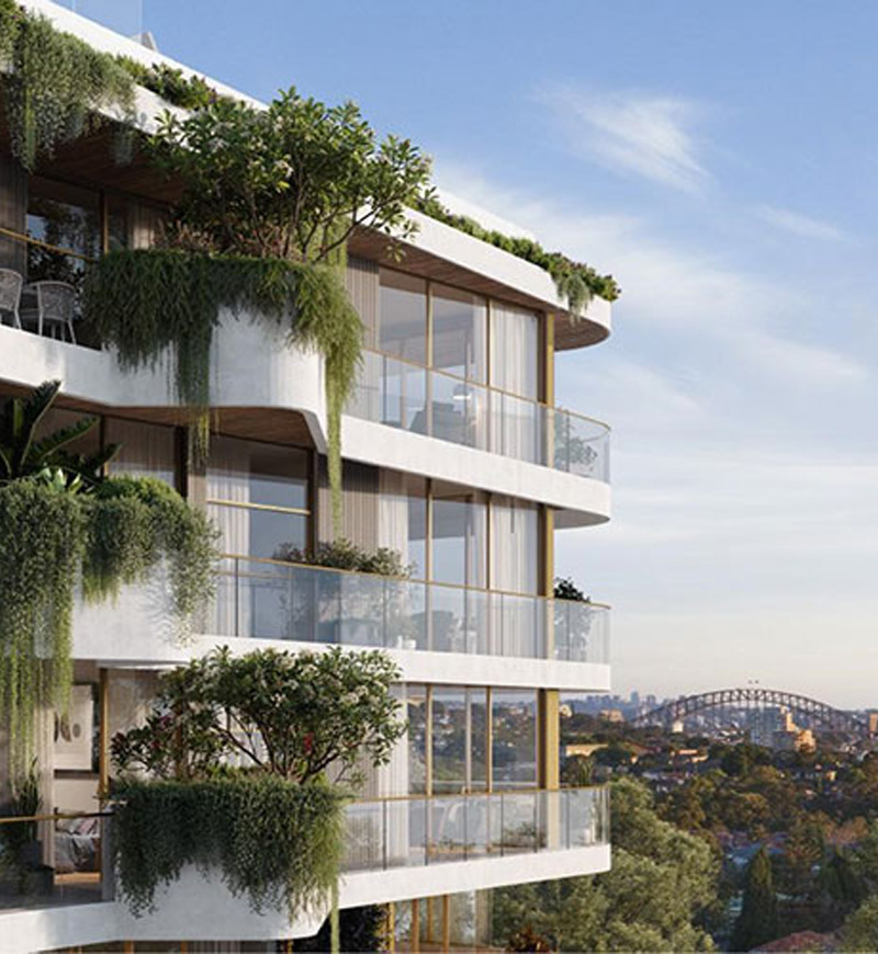 Akoya Greenwich